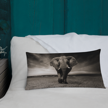 Load image into Gallery viewer, Premium Pillow - iGAME Clothing